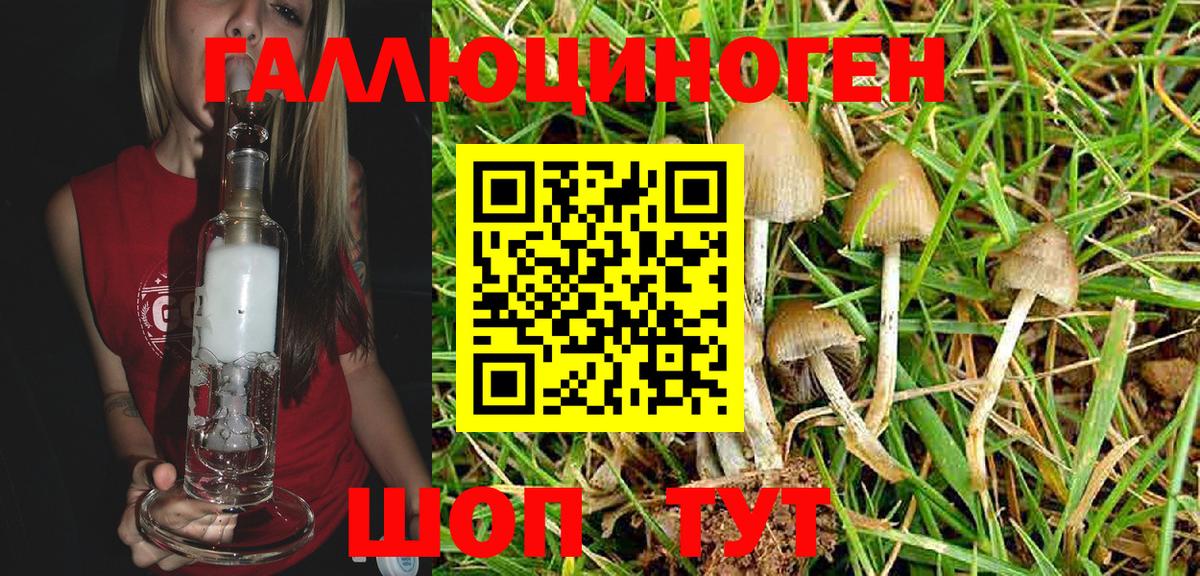 где купить наркотик  Вход с VPN  Псилоцибиновые грибы MAGIC MUSHROOMS  Надым  Галлюциногенные грибы Cubensis 